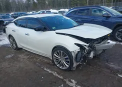 1N4AA6AP5GC906045: 44202818