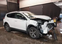 JTMRFREVXGJ093855: 44202951