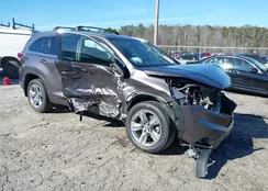 5TDYKRFH7ES031488: 44202197