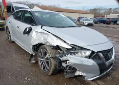 1N4AA6AV9KC382955: 44202343