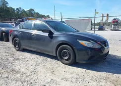 1N4AL3AP0JC119827: 44203492