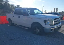 1FTEW1CM8EFA32692: 44203631