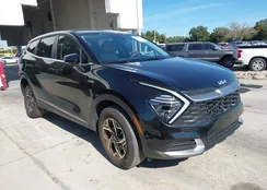 KNDPUCDF9R7244916: 44203698