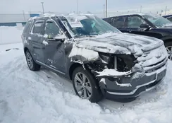 1FM5K8F80JGA91058: 44203803