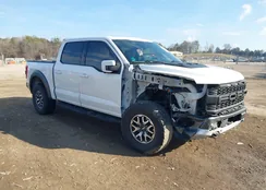 1FTFW1RG7PFB46174: 44203890