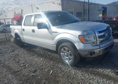 1FTFW1CF8DFB06617: 44203909