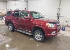 JTEBU5JRXB5036075: 44203208