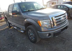 1FTPW14V99FA91398: 44204409