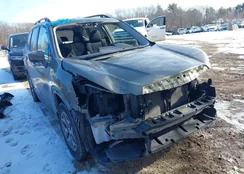 JF2SKACC5RH461676: 44204603