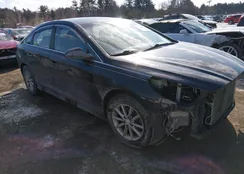 5NPE24AF5JH658671: 44204697