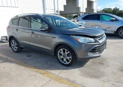 1FMCU9J98EUE06638: 44204752