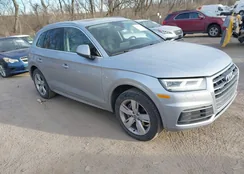 WA1BNAFY5J2057565: 44204856