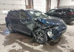 JTMBFREV5JJ230726: 44204893