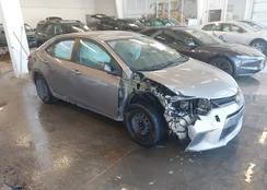 5YFBURHE7GP423451: 44204921