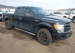 1FTFX1CF0DFD38030: 44204976