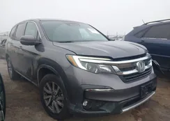 5FNYF6H56MB009488: 44204006