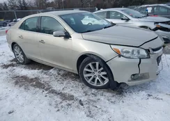 1G11F5SL1FF257237: 44204307