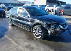 1HGCR2F54DA184880: 44204356