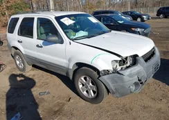 1FMYU03ZX6KA05538: 44204386