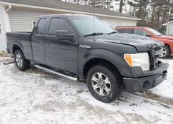 1FTFX1CF8DFA43399: 44205796