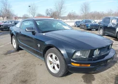 1ZVHT80N995110465: 44205800