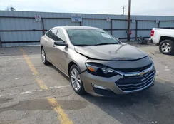 1G1ZD5ST7NF123436: 44205213