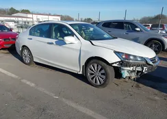 1HGCR2F82FA028284: 44206406