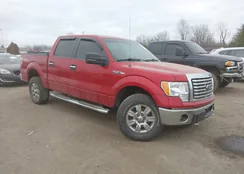 1FTFW1EF0CFC29405: 44206720