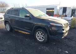 1C4PJMCBXFW767957: 44206812