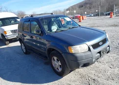 1FMYU041X1KF17026: 44206044