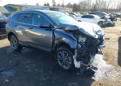 5J6RW2H55NA000556: 44207673