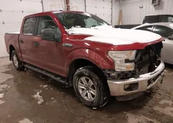 1FTEW1E88GFC94635: 44207900