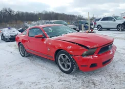 1ZVBP8AM6C5231882: 44207905