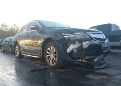 5J8TB3H59GL016748: 44207181