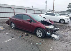 19XFB2F55EE213530: 44207195