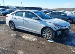 5NPE34AF7GH315513: 44208752