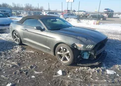 1FATP8EM4G5336255: 44208806