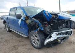 1FTEW1EG6FKF00192: 44208027