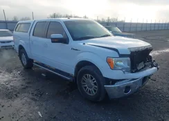 1FTFW1EF6BFD40698: 44208296