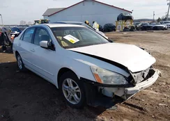 1HGCM56786A119941: 44209618