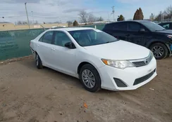 4T1BF1FK6DU716028: 44209847