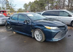 4T1F31AK5LU535230: 44209974