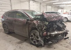 5J6RW2H58JL034554: 44209167