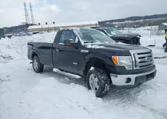 1FTNF1ET8CKE16951: 44209252