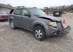 1FMCU93G49KA12311: 44209299