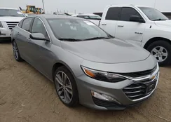 1G1ZD5ST1PF171842: 44210182