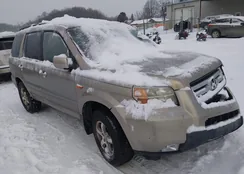 5FNYF18546B004053: 44211454