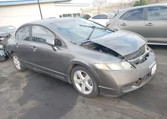 19XFA1F68AE014651: 44211507