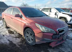 5NPE24AF2FH175341: 44211561