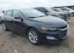 1G1ZD5ST3PF184219: 44212429